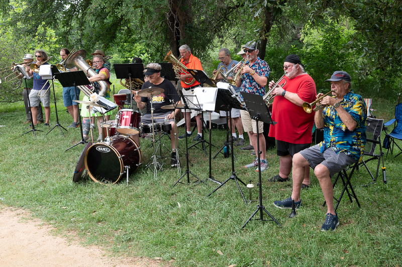 An image of an older group of musicians playing their respective instruments for everyone to hear at Eeyore's Birthday Party.